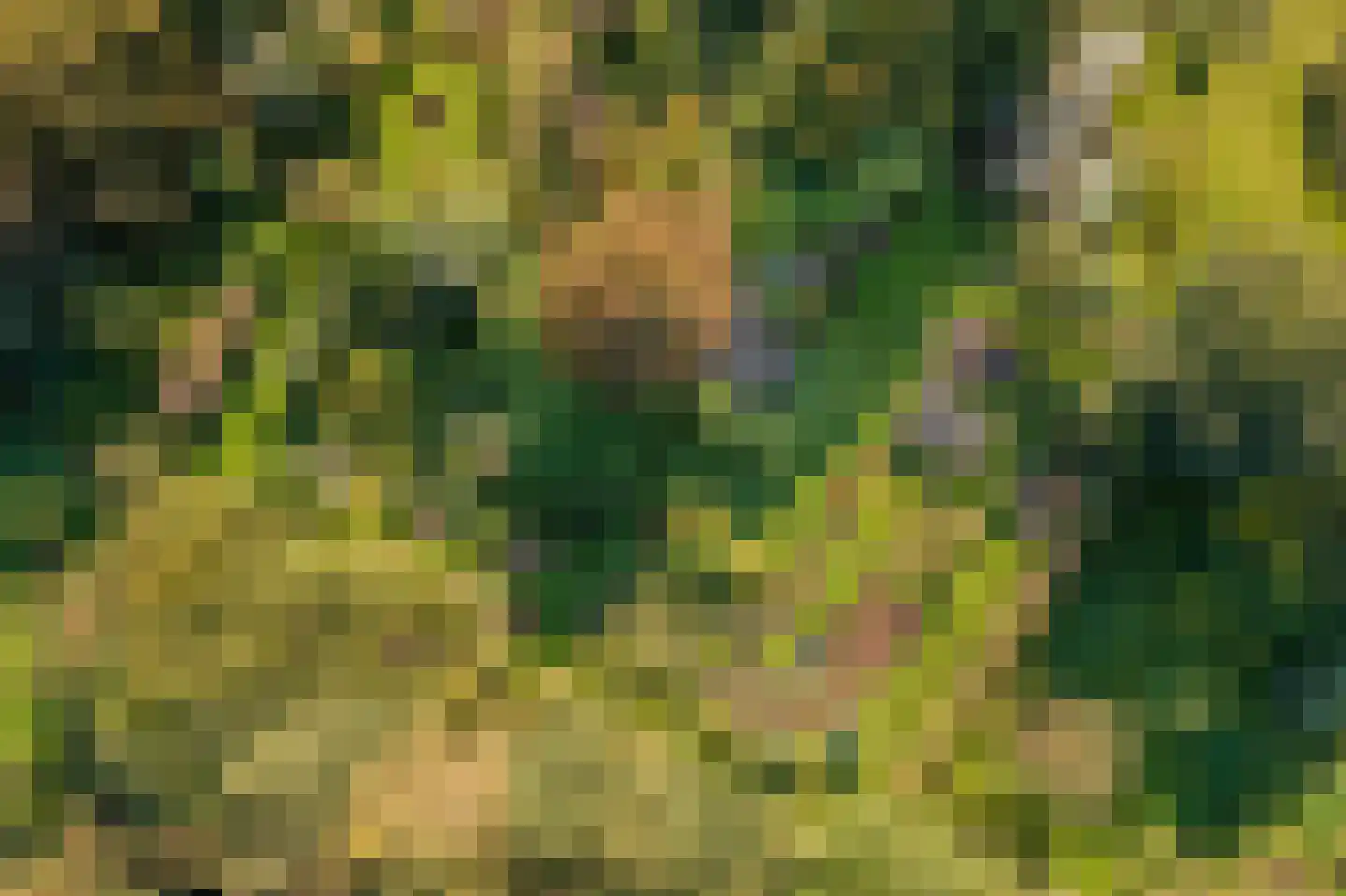 Kerklaan 2 't Zandt thumbnail 13