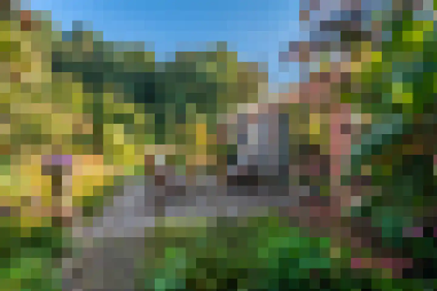 Kerklaan 2 't Zandt thumbnail 15