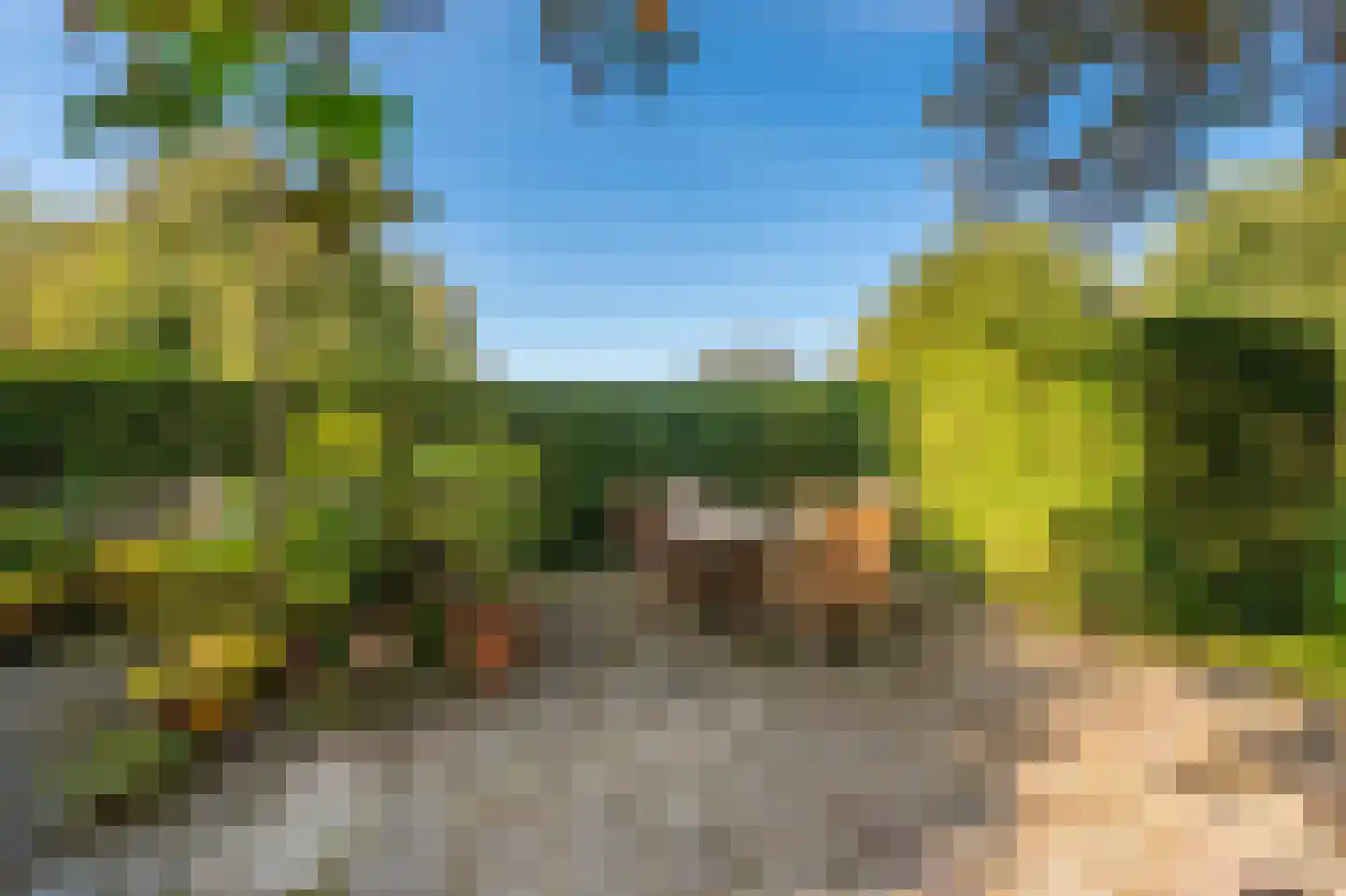 Kerklaan 2 't Zandt thumbnail 16