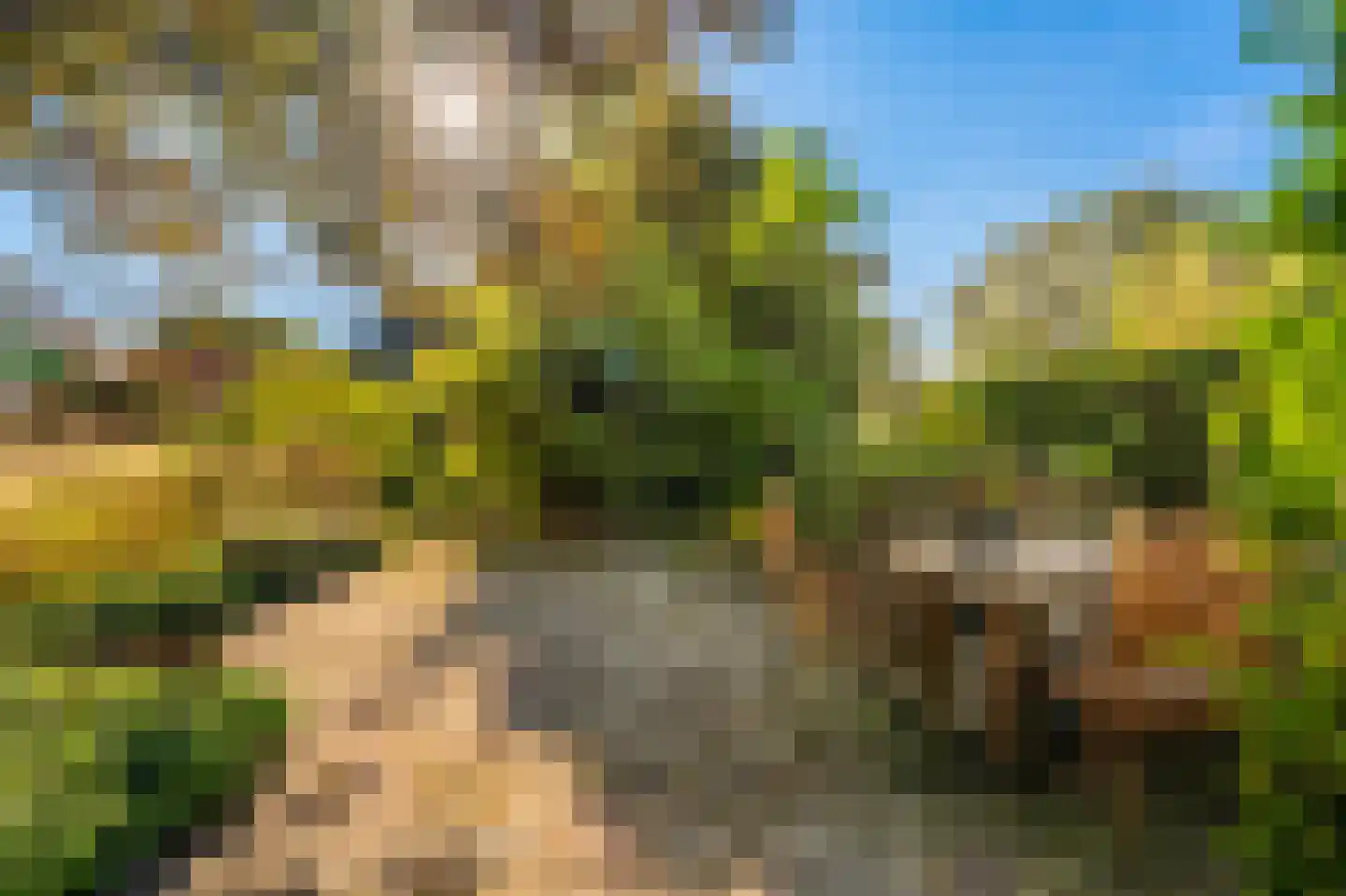 Kerklaan 2 't Zandt thumbnail 17