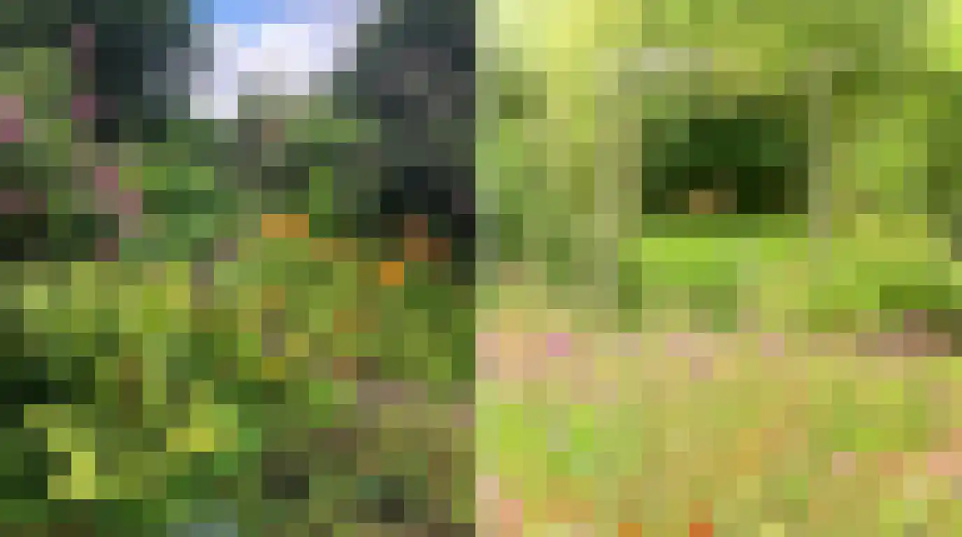 Kerklaan 2 't Zandt thumbnail 18