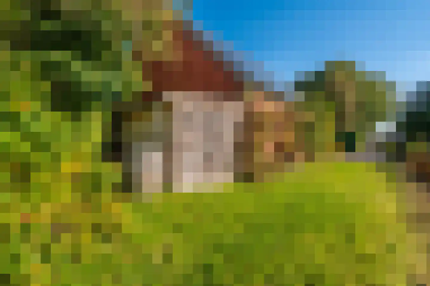 Kerklaan 2 't Zandt thumbnail 20