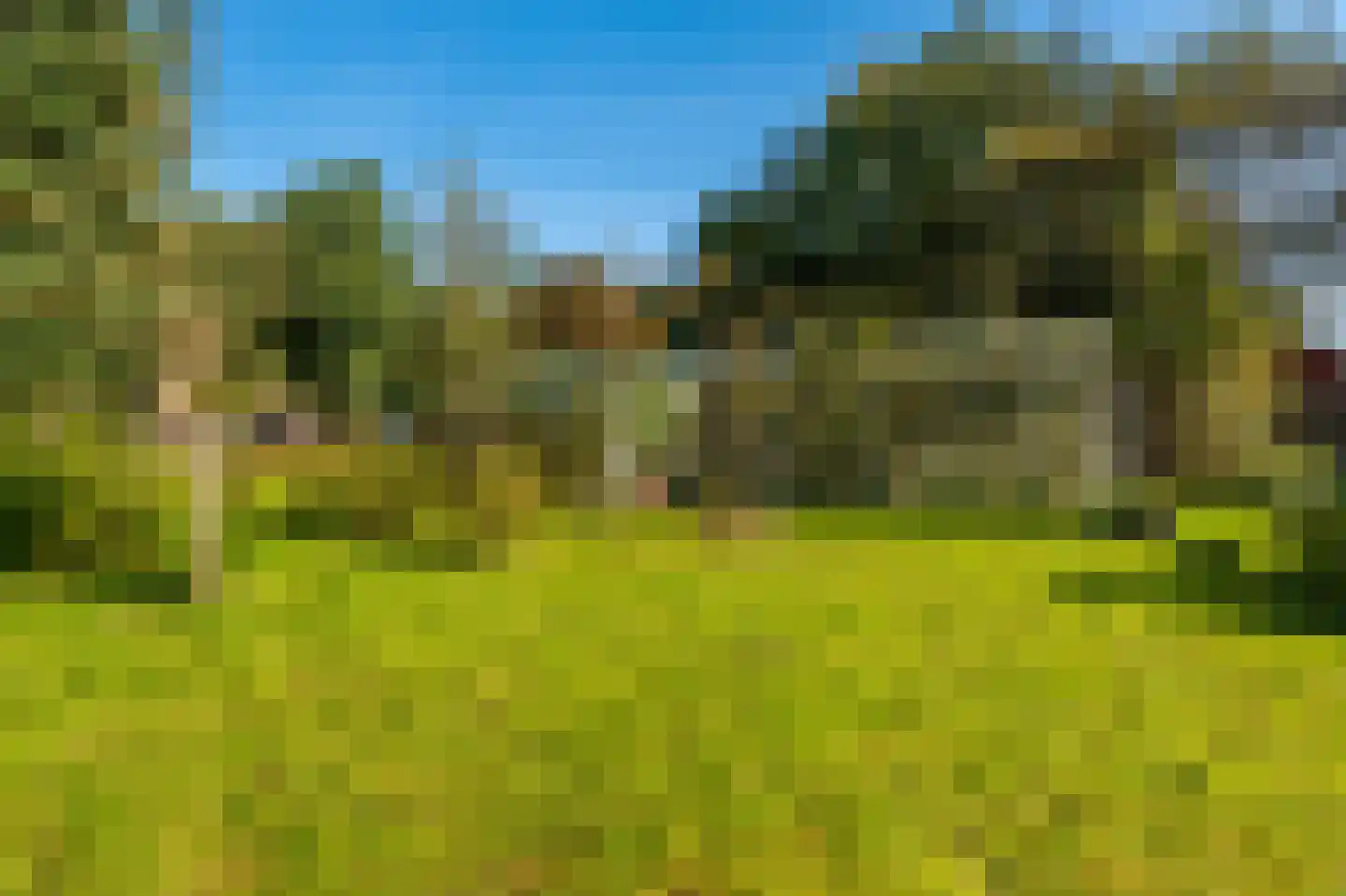Kerklaan 2 't Zandt thumbnail 21