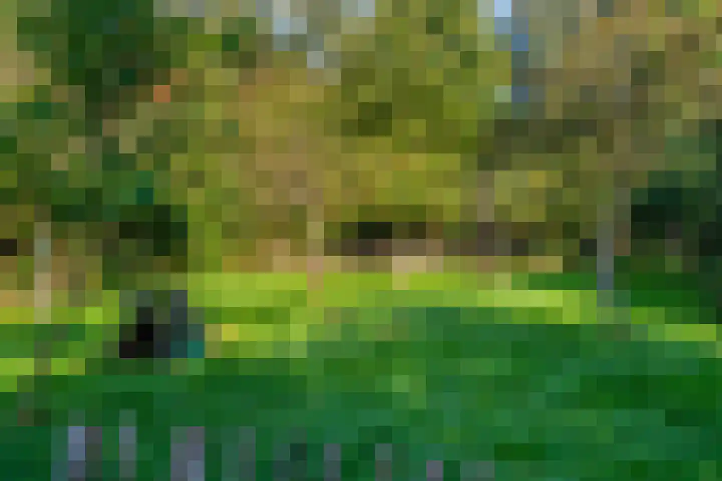 Kerklaan 2 't Zandt thumbnail 22