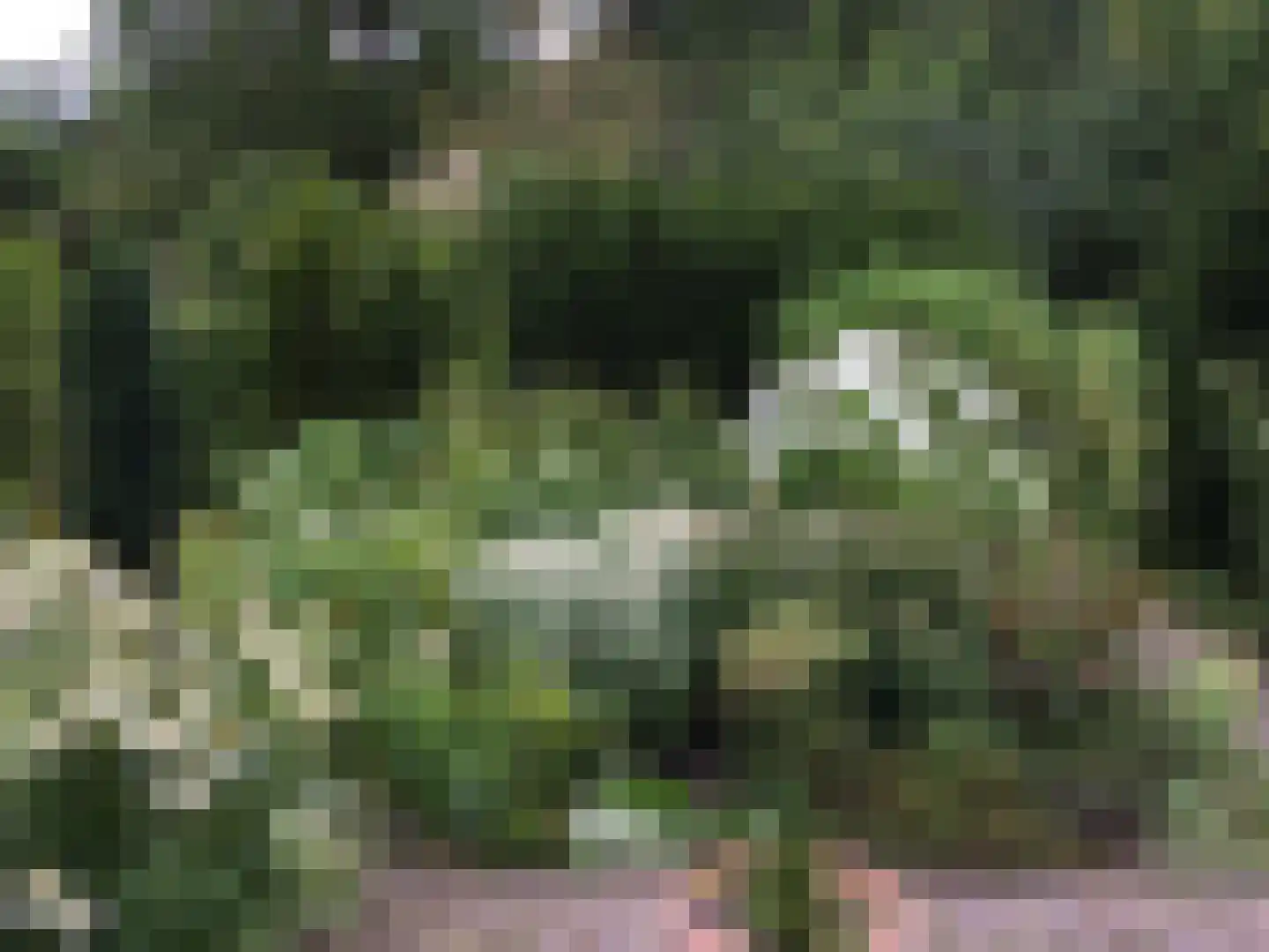 Kerklaan 2 't Zandt thumbnail 23