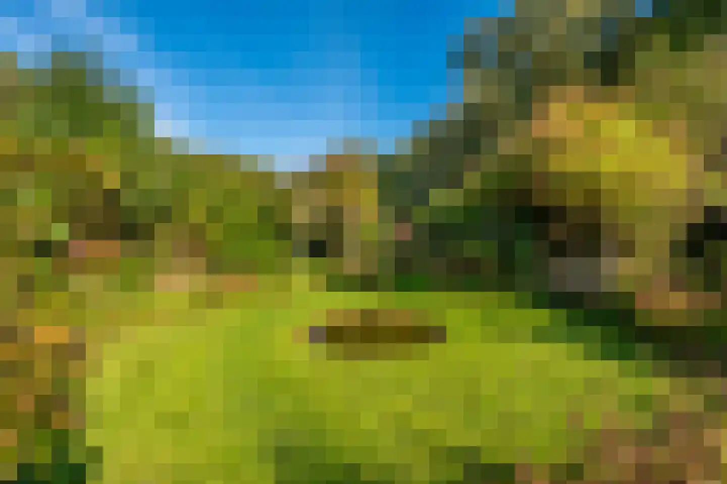 Kerklaan 2 't Zandt thumbnail 24