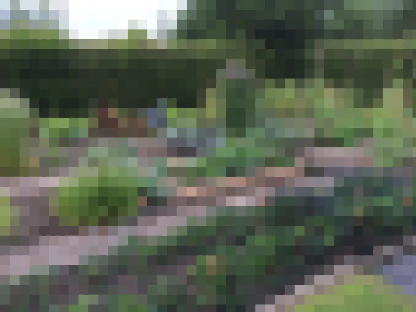 Kerklaan 2 't Zandt thumbnail 25
