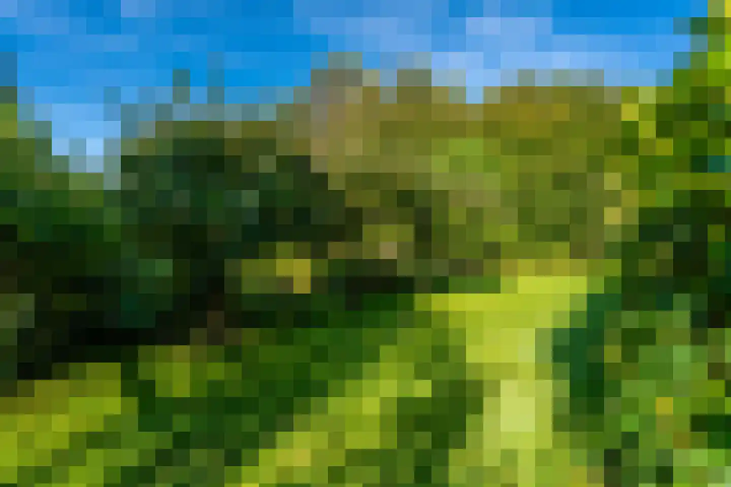 Kerklaan 2 't Zandt thumbnail 27