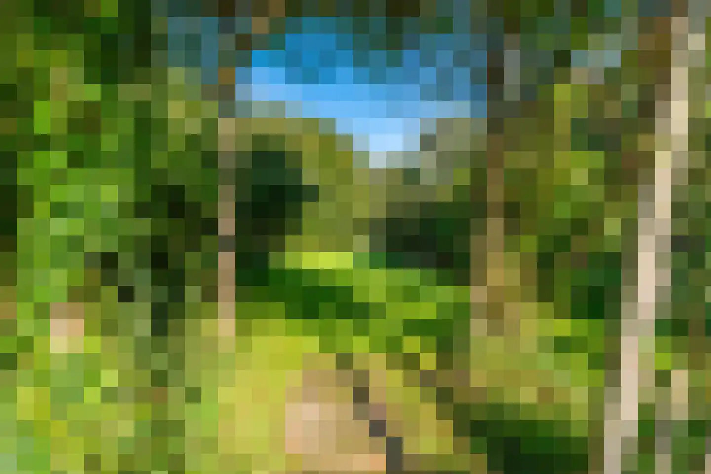 Kerklaan 2 't Zandt thumbnail 28