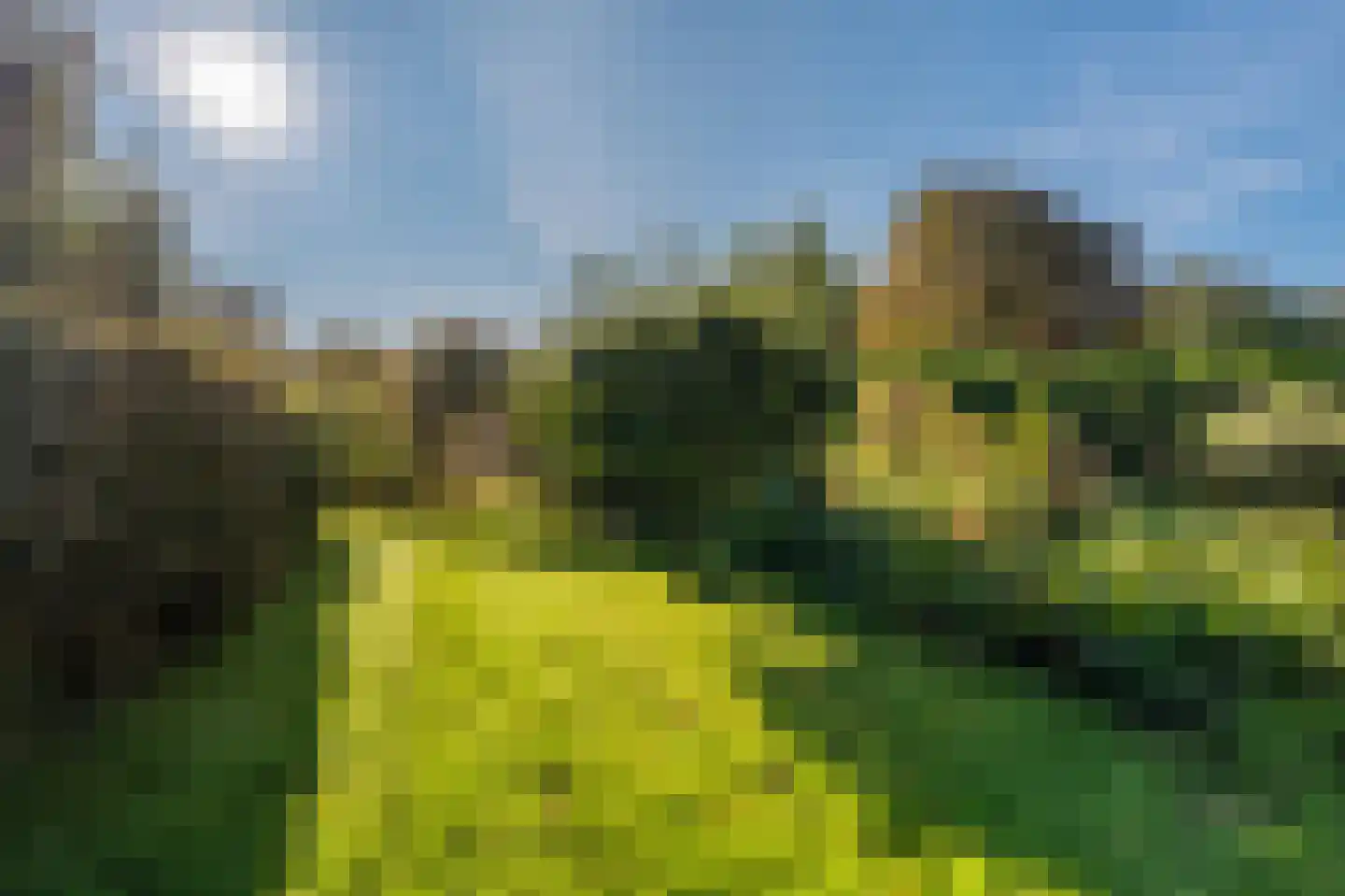 Kerklaan 2 't Zandt thumbnail 29