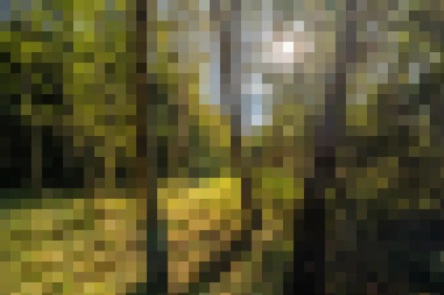 Kerklaan 2 't Zandt thumbnail 30