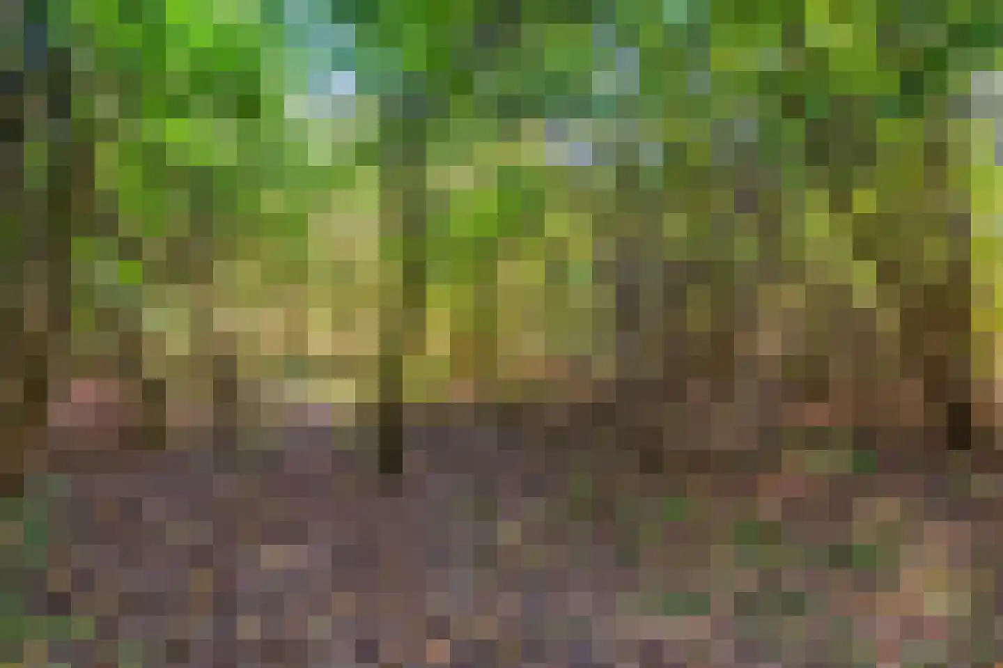 Kerklaan 2 't Zandt thumbnail 31