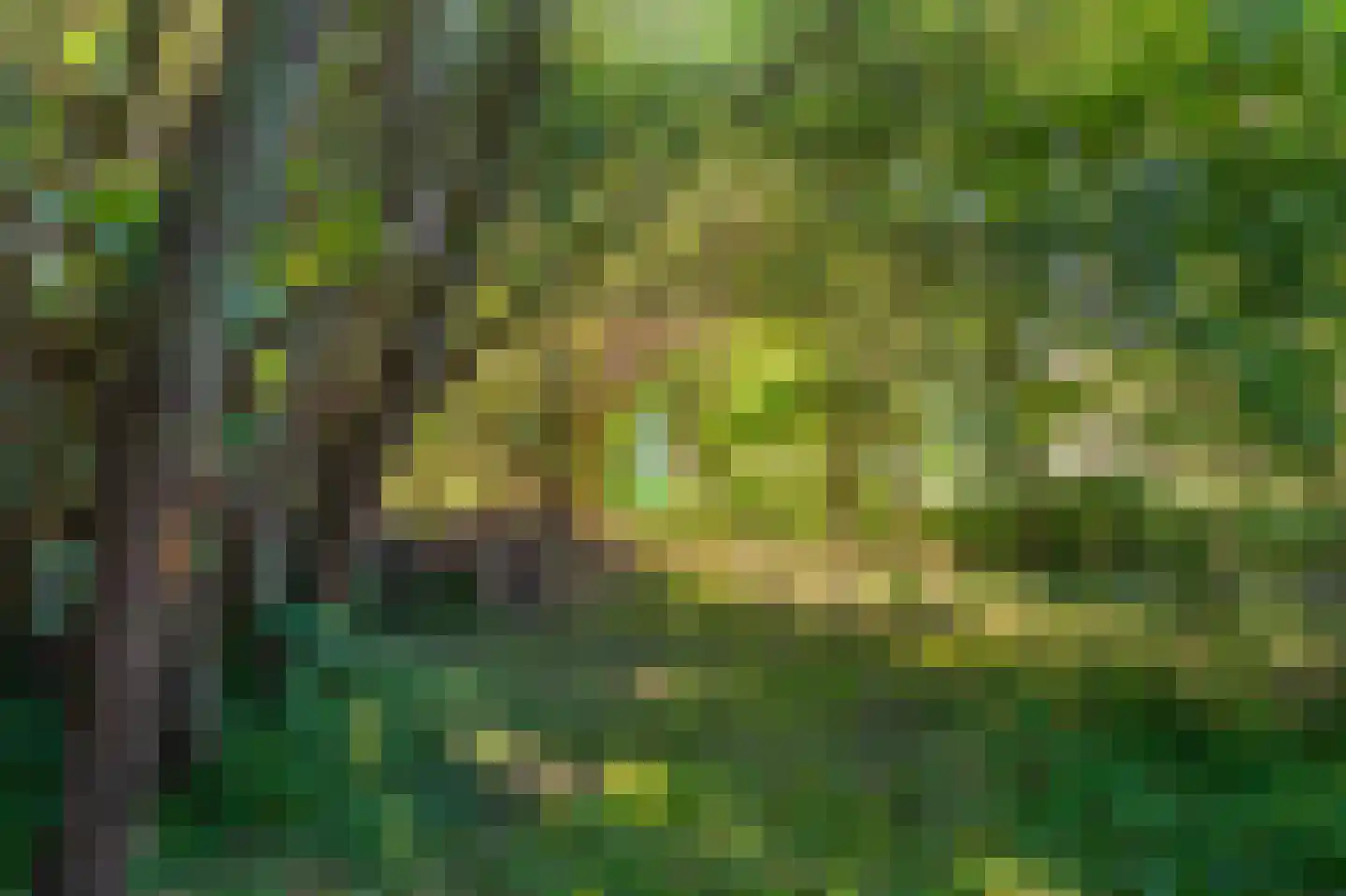 Kerklaan 2 't Zandt thumbnail 32