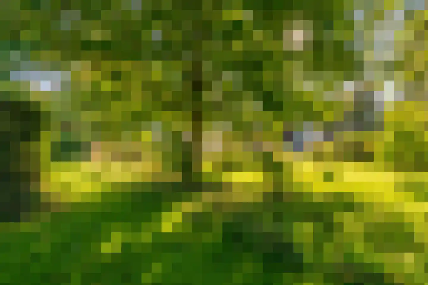 Kerklaan 2 't Zandt thumbnail 33