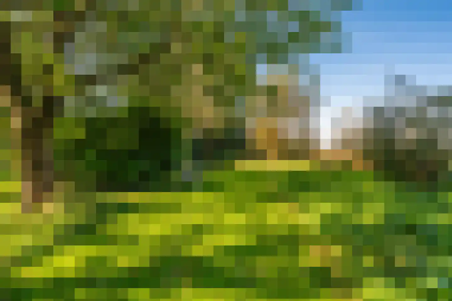 Kerklaan 2 't Zandt thumbnail 34