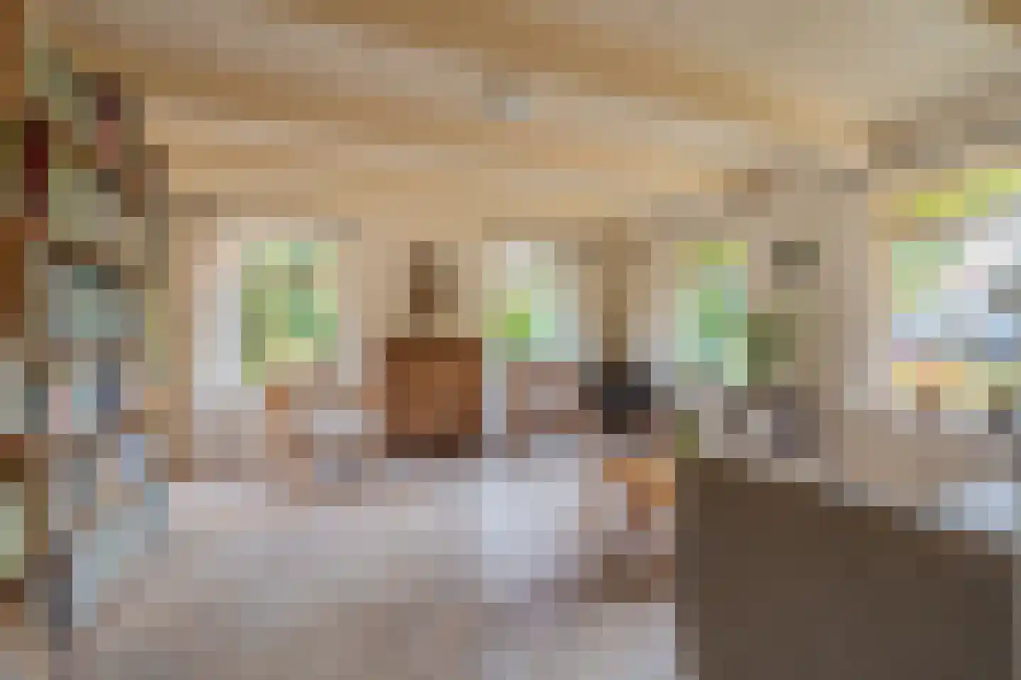 Kerklaan 2 't Zandt thumbnail 36