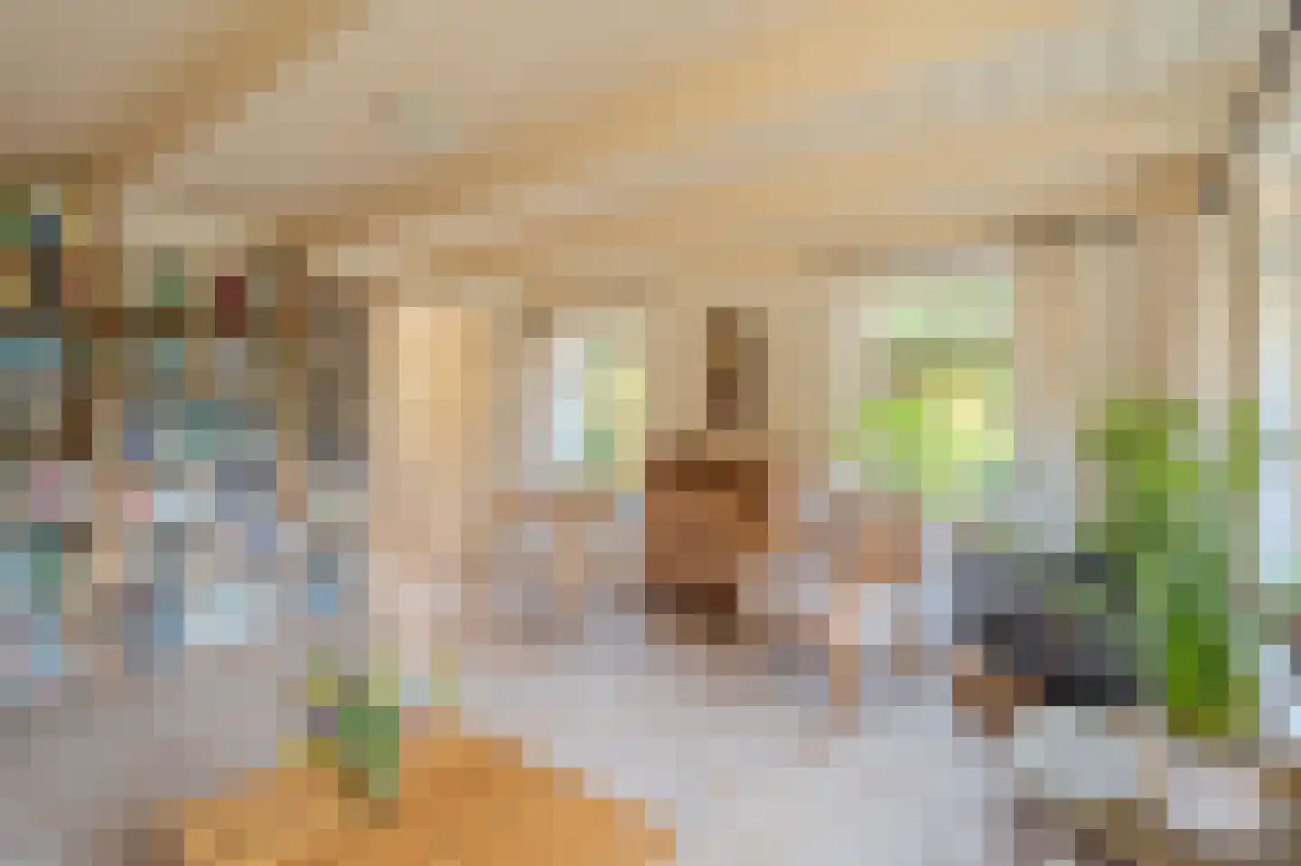 Kerklaan 2 't Zandt thumbnail 38