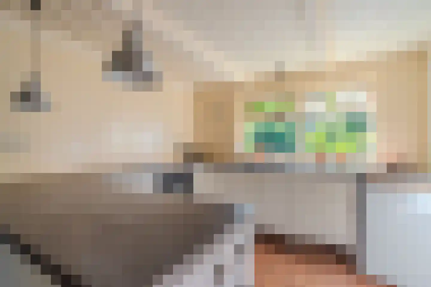 Kerklaan 2 't Zandt thumbnail 44