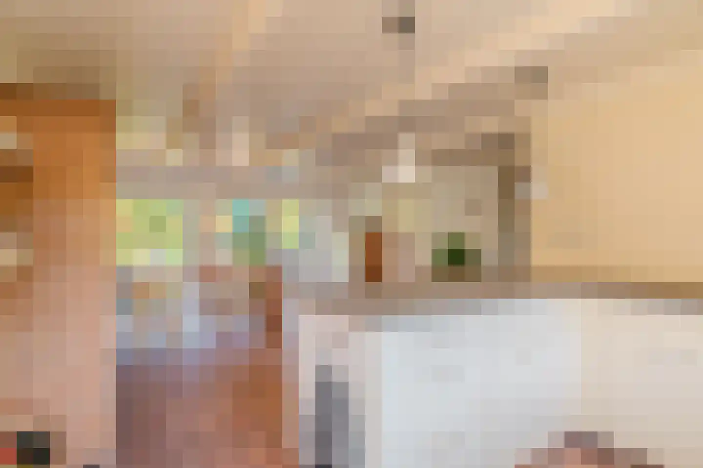 Kerklaan 2 't Zandt thumbnail 45