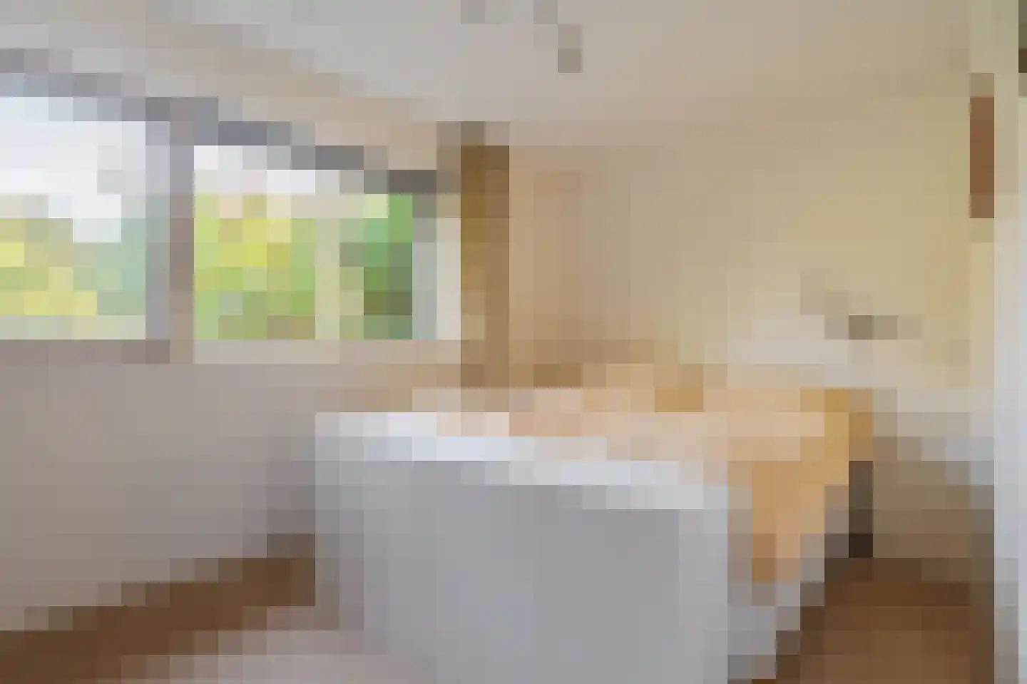 Kerklaan 2 't Zandt thumbnail 48