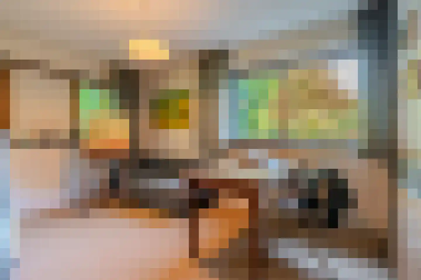 Kerklaan 2 't Zandt thumbnail 54