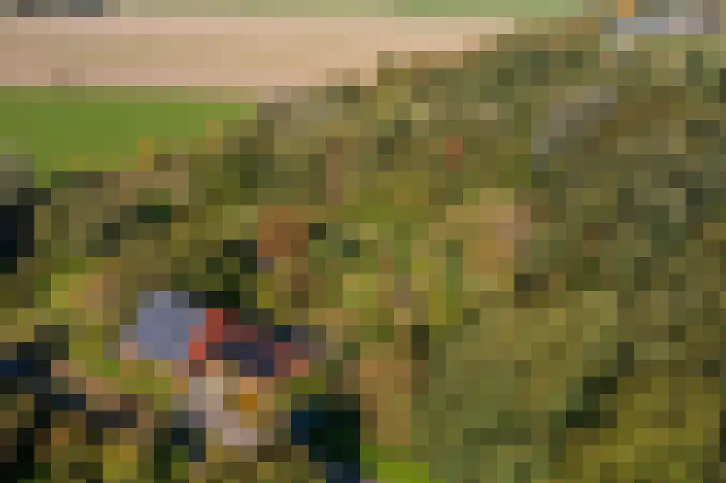 Kerklaan 2 't Zandt thumbnail 8