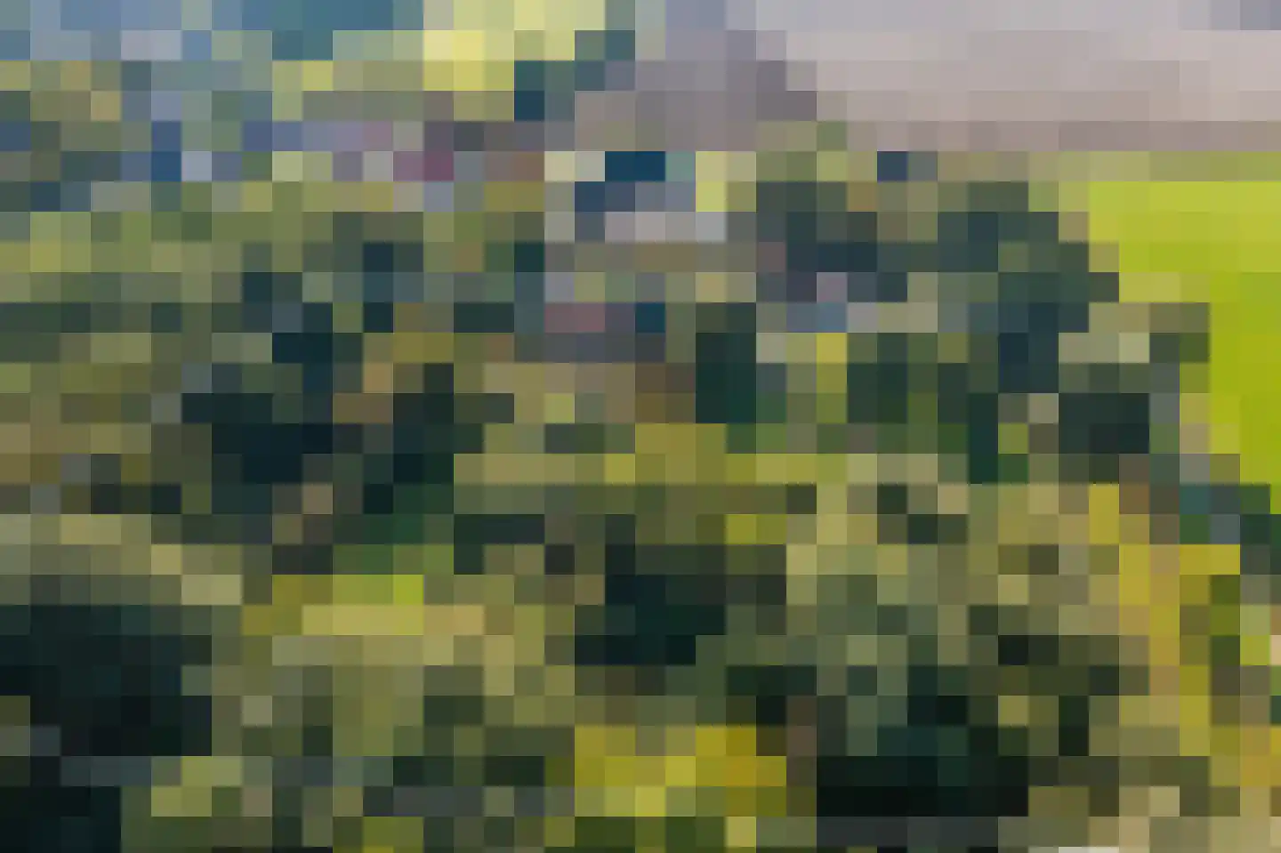 Kerklaan 2 't Zandt thumbnail 9