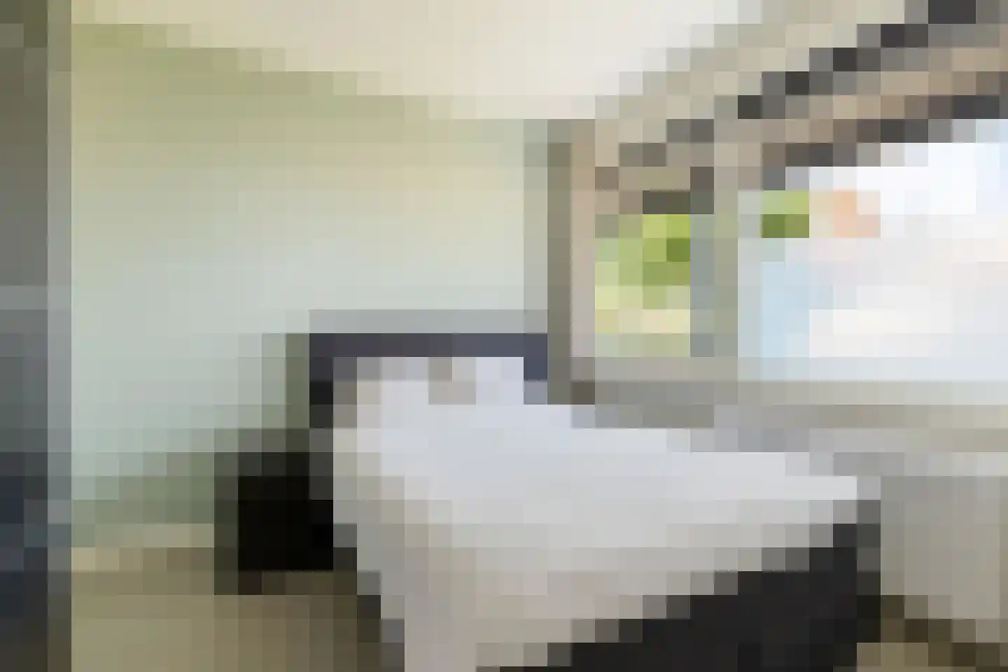 Kerklaan 20 ap10 Kortenhoef thumbnail 4
