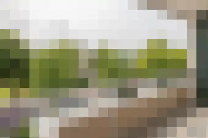 Kerklaan 20 Heemstede thumbnail 16