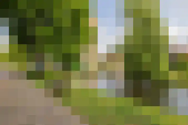 Kerklaan 20 Heemstede thumbnail 38