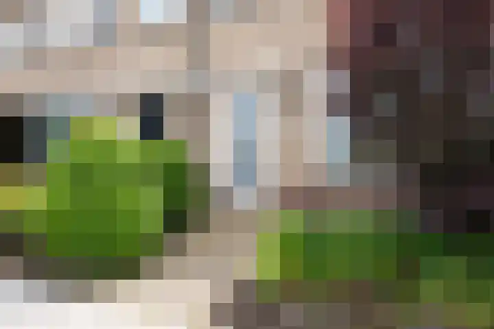 Kerklaan 20 Leimuiden thumbnail 20