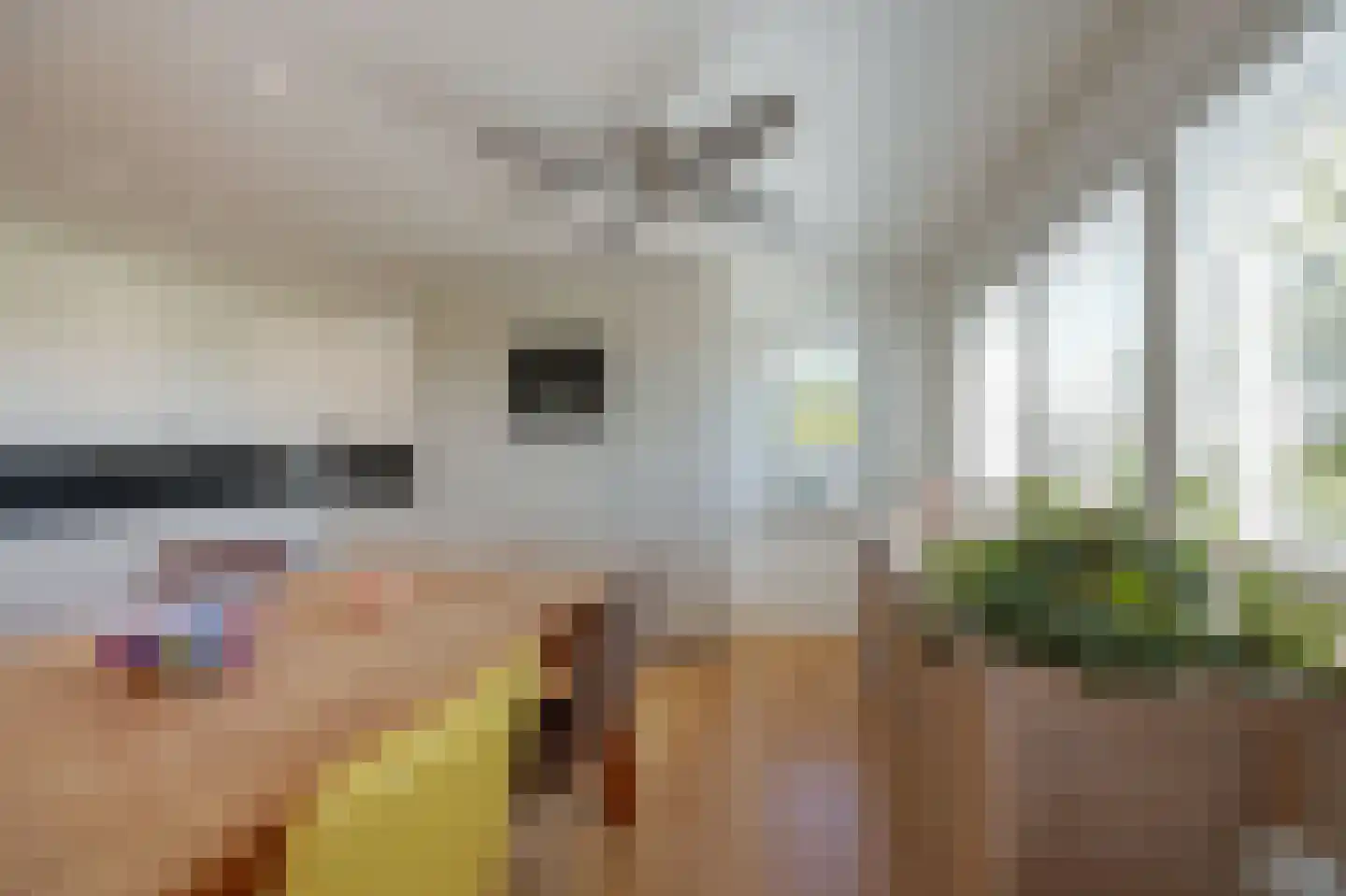 Kerklaan 21 w Leimuiden thumbnail 18