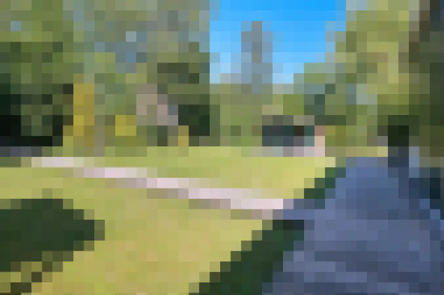 Kerklaan 21 w Leimuiden thumbnail 45