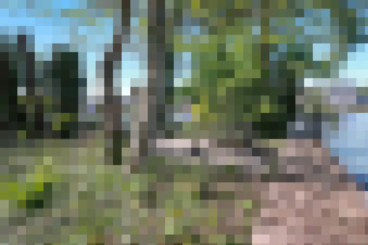 Kerklaan 21 w Leimuiden thumbnail 56