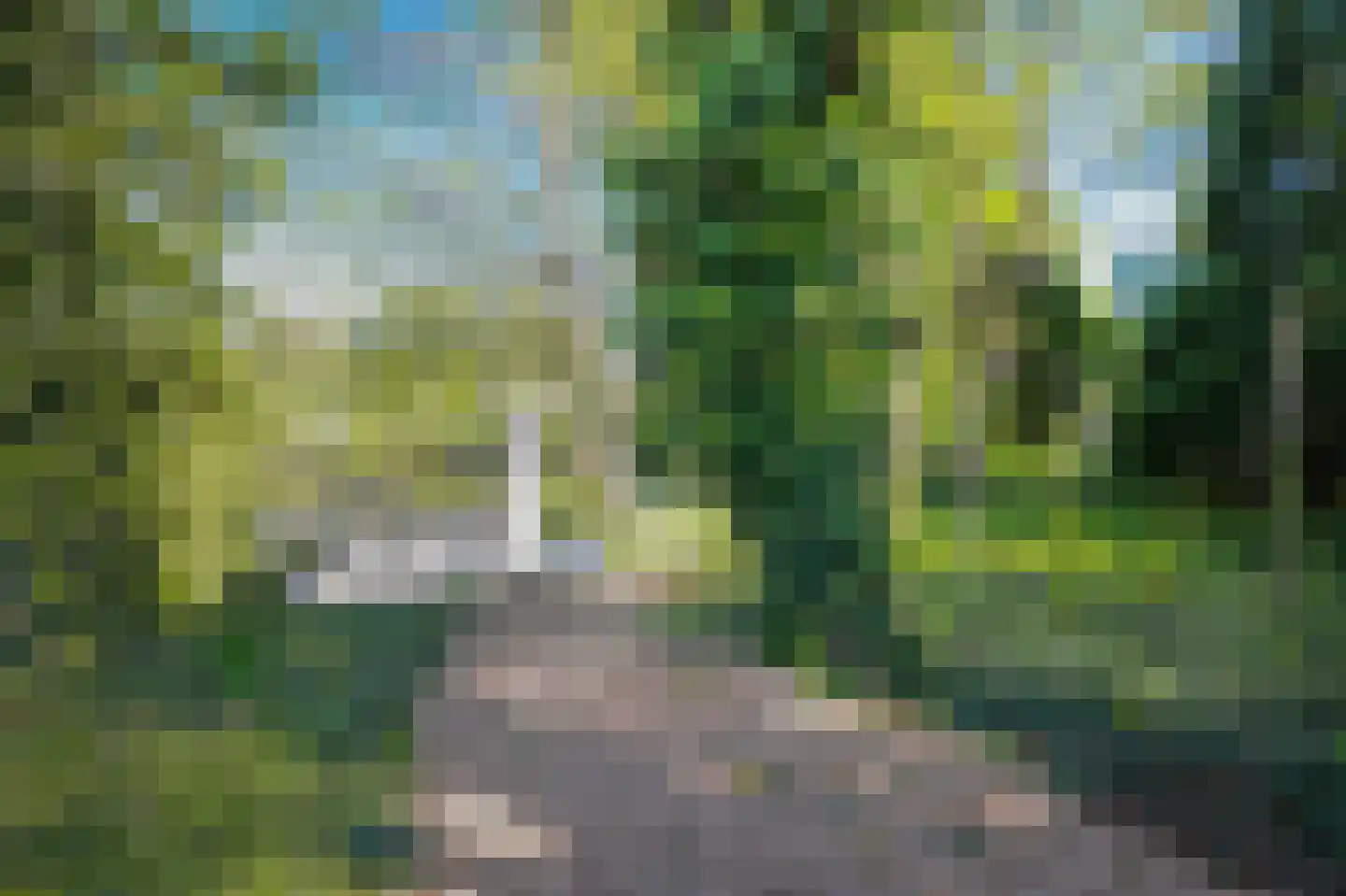 Kerklaan 21 w Leimuiden thumbnail 63