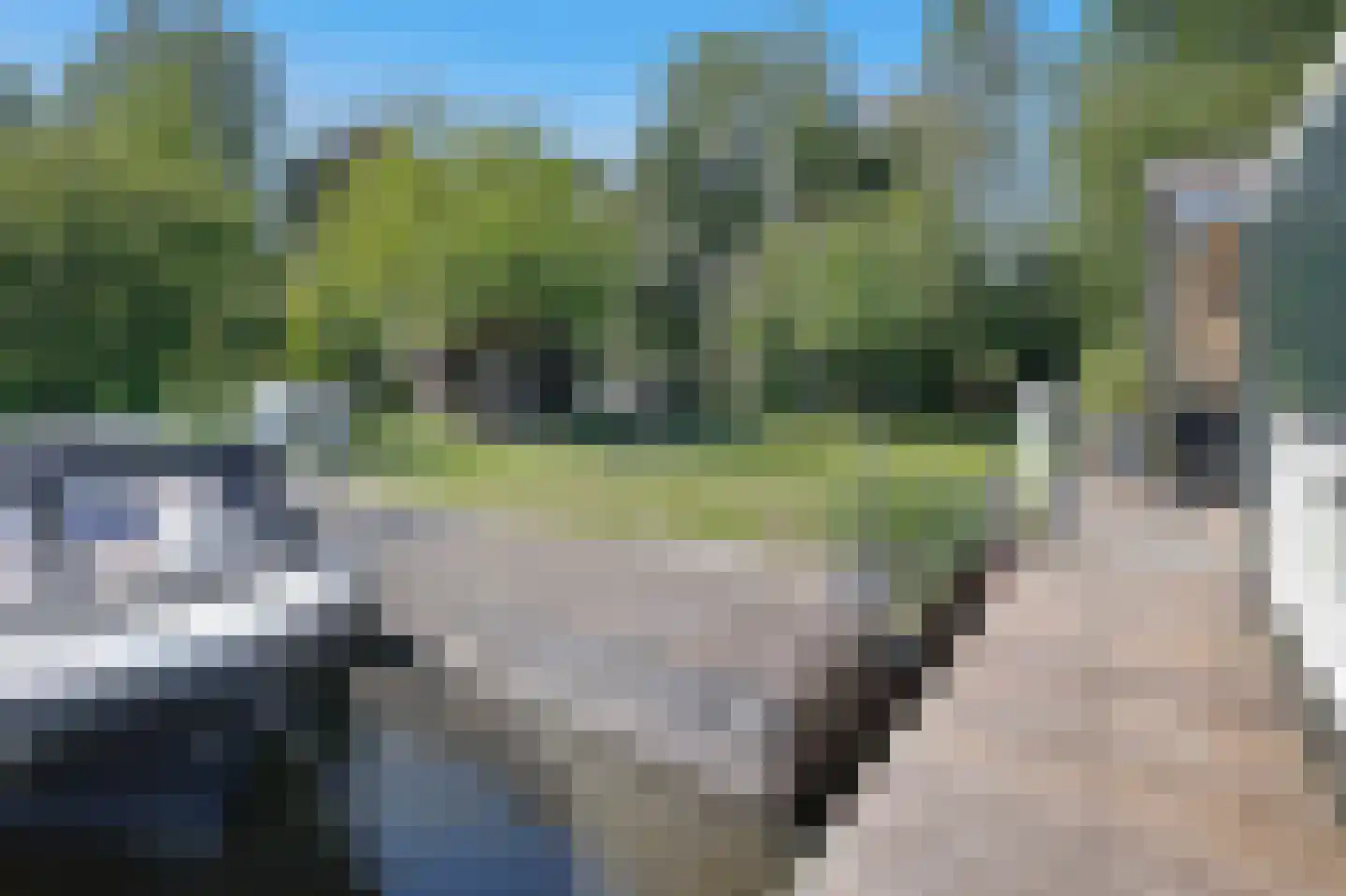 Kerklaan 21 w Leimuiden thumbnail 74