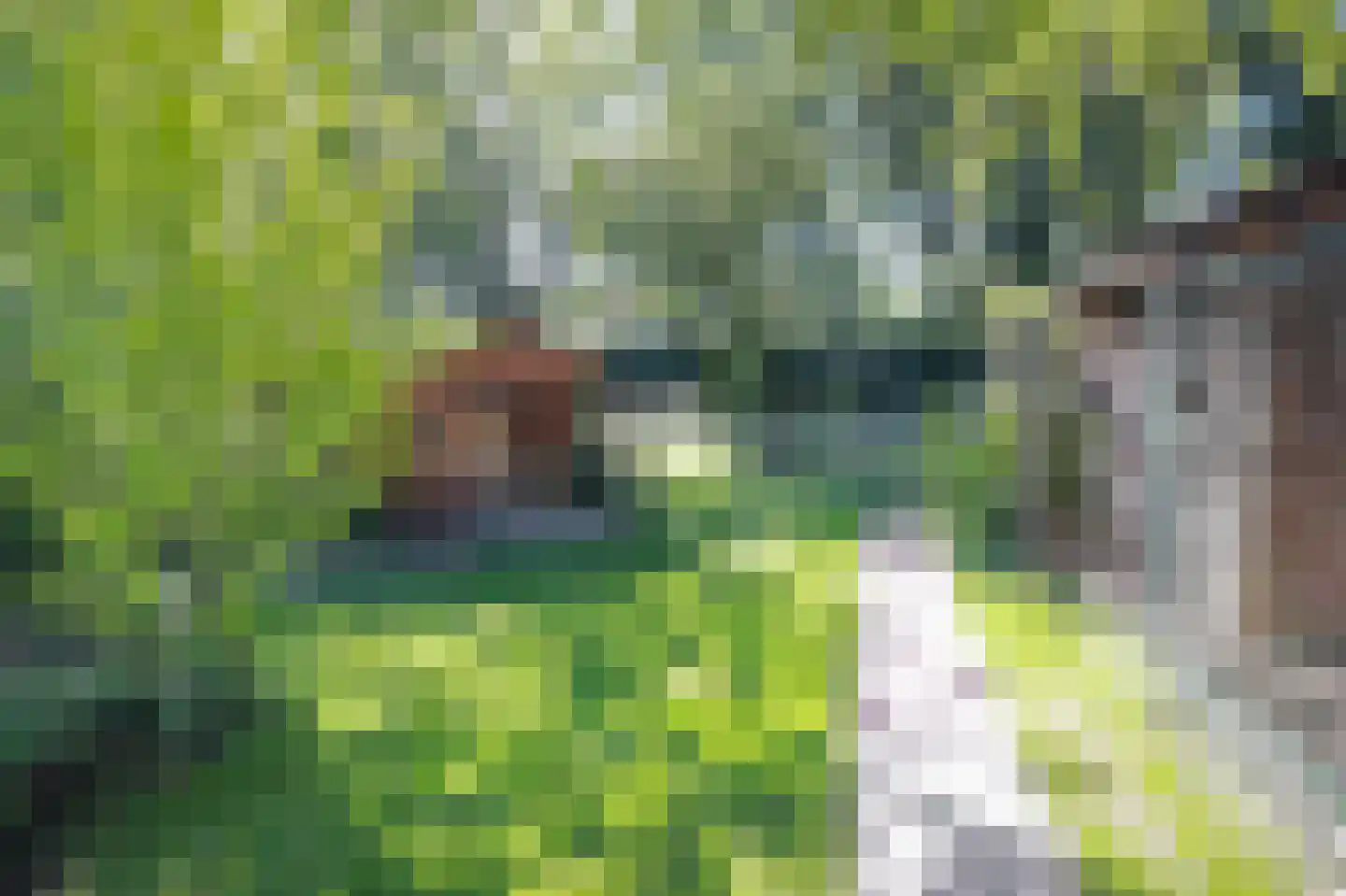 Kerklaan 21 w Leimuiden thumbnail 78