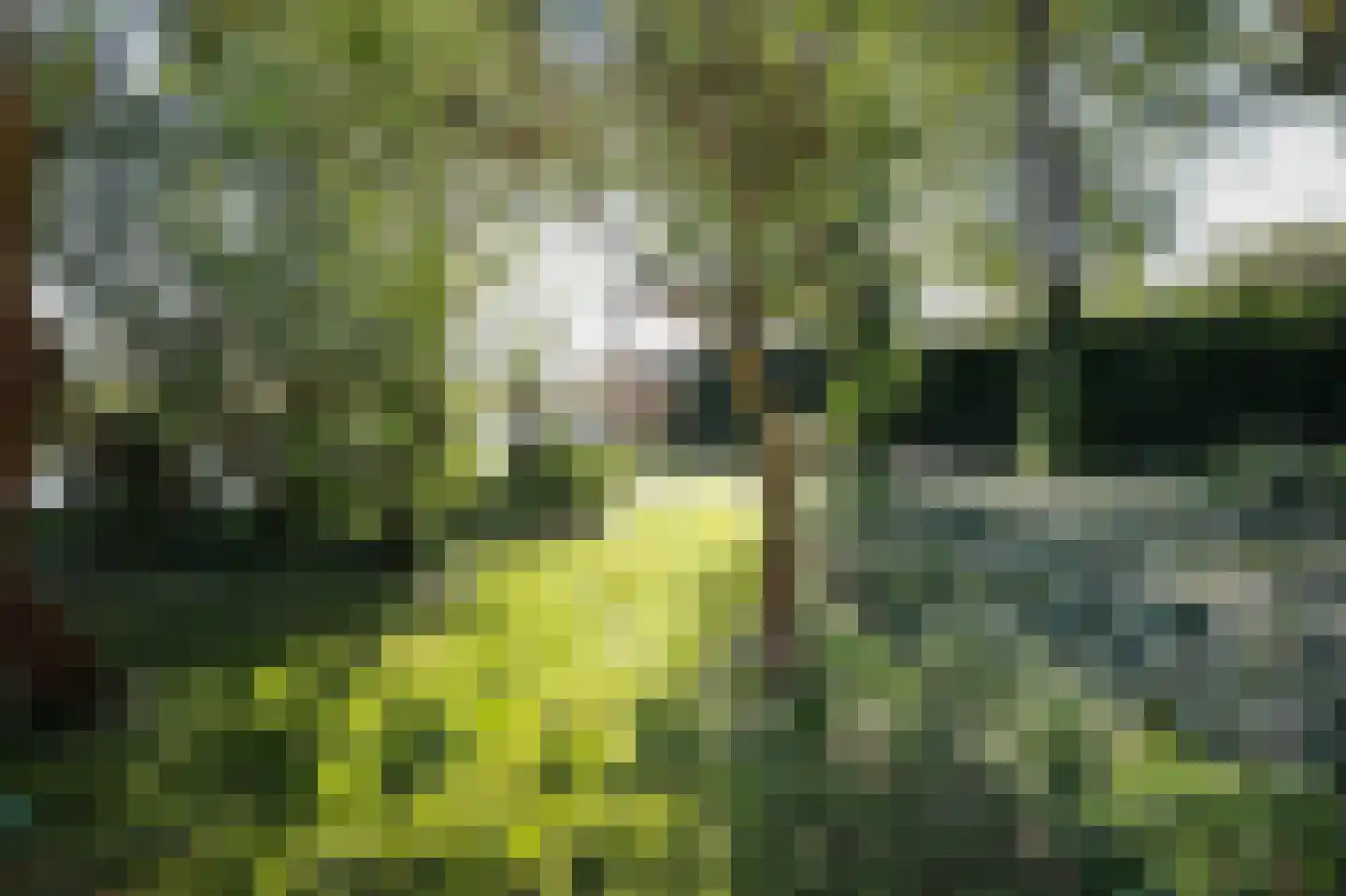 Kerklaan 21 w Leimuiden thumbnail 79