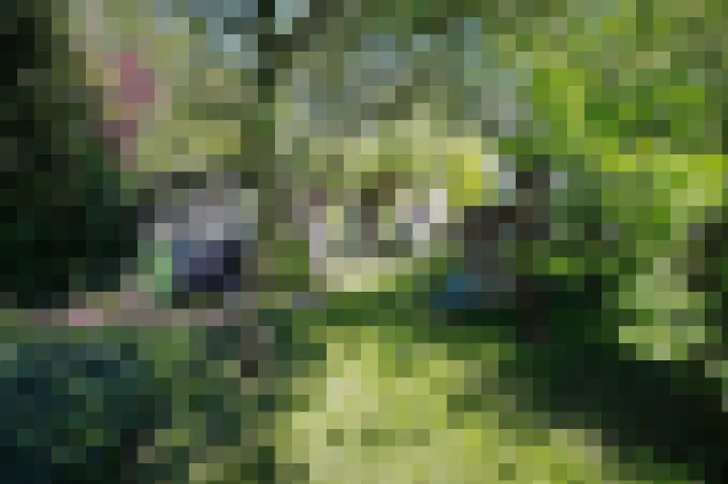 Kerklaan 21 w Leimuiden thumbnail 81