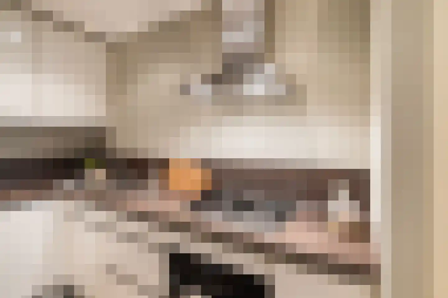 Kerklaan 22 De Lier thumbnail 11