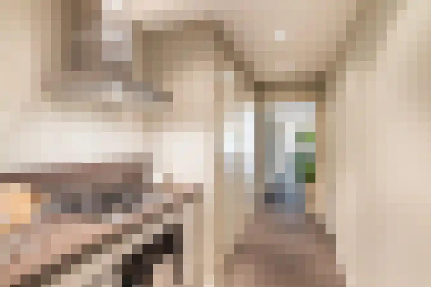 Kerklaan 22 De Lier thumbnail 12