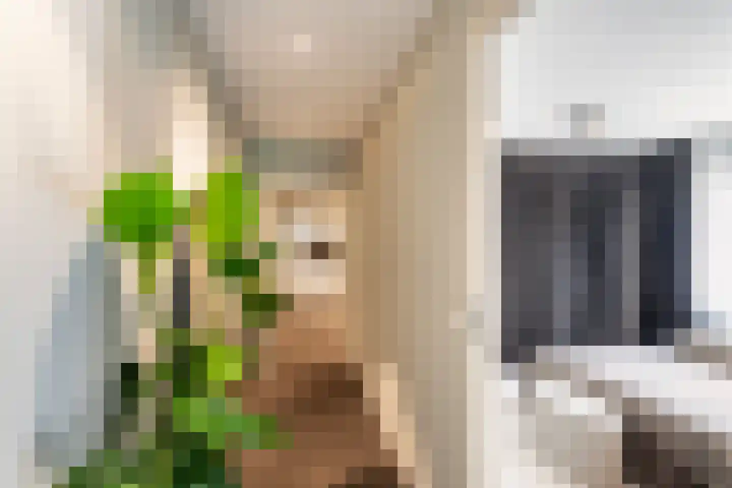 Kerklaan 22 De Lier thumbnail 14