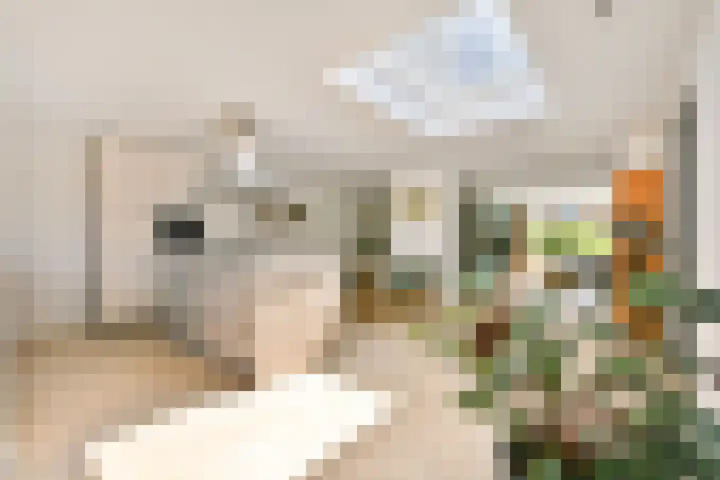 Kerklaan 22 Loenen aan de Vecht thumbnail 14
