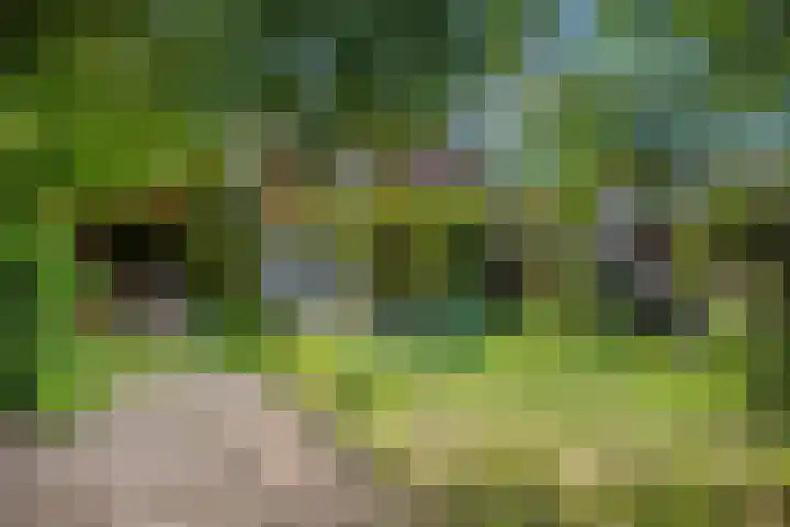 Kerklaan 23 Otterlo thumbnail 28