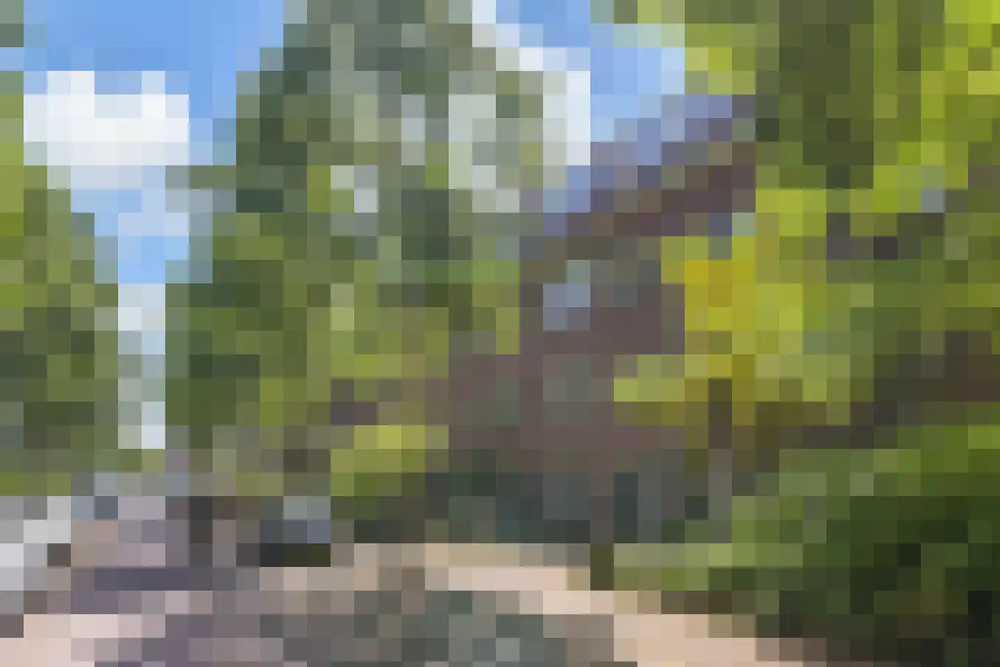 Kerklaan 248 Rijswijk thumbnail 34