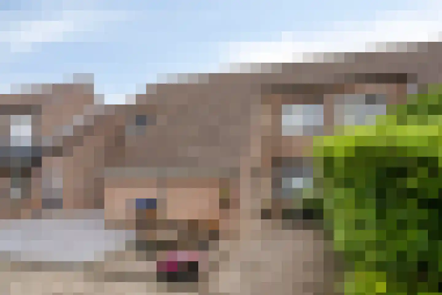 Kerklaan 27 Lopik thumbnail 31