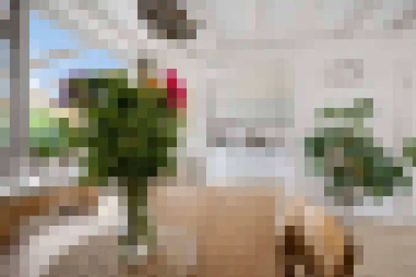 Kerklaan 3 Buurmalsen thumbnail 10