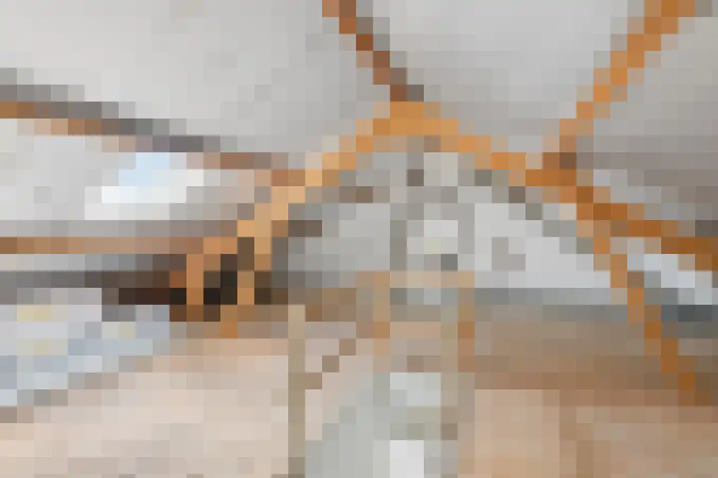 Kerklaan 3 Buurmalsen thumbnail 20
