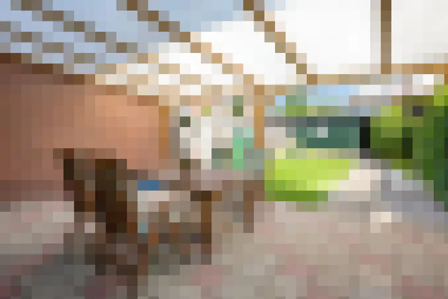 Kerklaan 3 Buurmalsen thumbnail 21