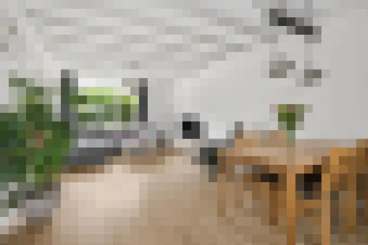 Kerklaan 3 Buurmalsen thumbnail 7